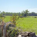 Holiday home Terre D'yzan Saint-Yzan-de-Soudiac